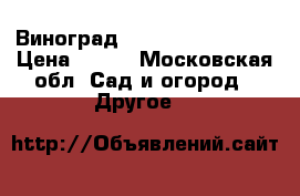 Виноград “Arsenjevskij“  ) › Цена ­ 850 - Московская обл. Сад и огород » Другое   